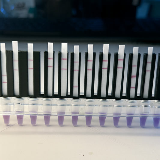 Lateral Flow Assay Strip Holder, 12-Position LFA Strip Rack, 96-Well Plate Compatible