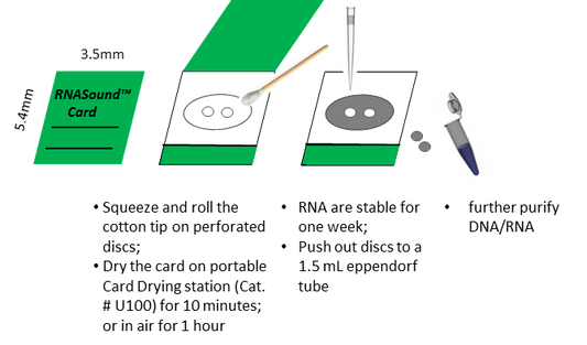 Perforated RNA Sampling Cards