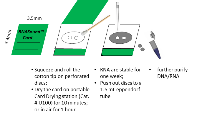 Perforated RNA Sampling Cards